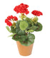 Artificial 24cm Red Zonal Geranium Plug Plant